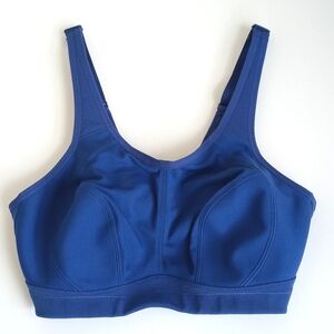 Syrokan 36C Women's High Impact Sports Bra in Royal Blue